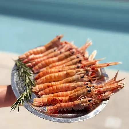 Отель Stari Dvor 3*