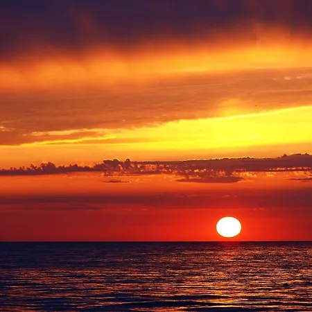 Отель Stari Dvor 3*