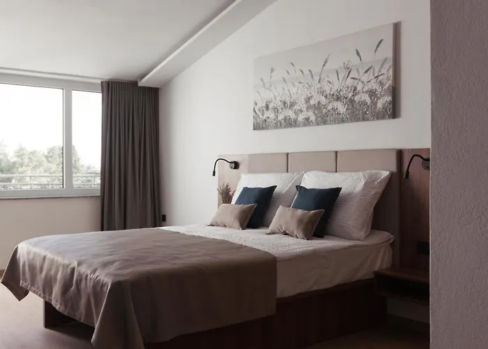 Stari Dvor Hotel 3*