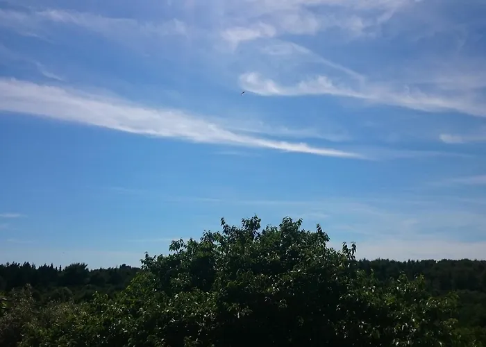Stari Dvor Ugljan