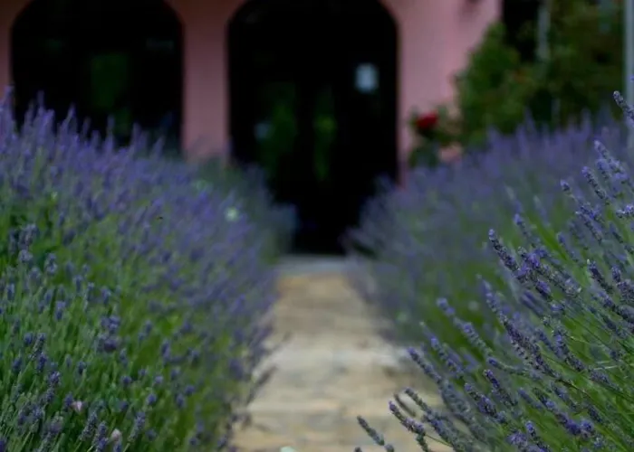 Stari Dvor 우글랸