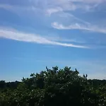 Stari Dvor אוגייאן