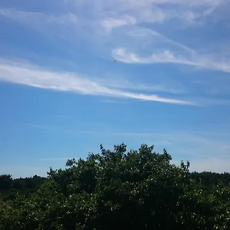 Stari Dvor Ugljan